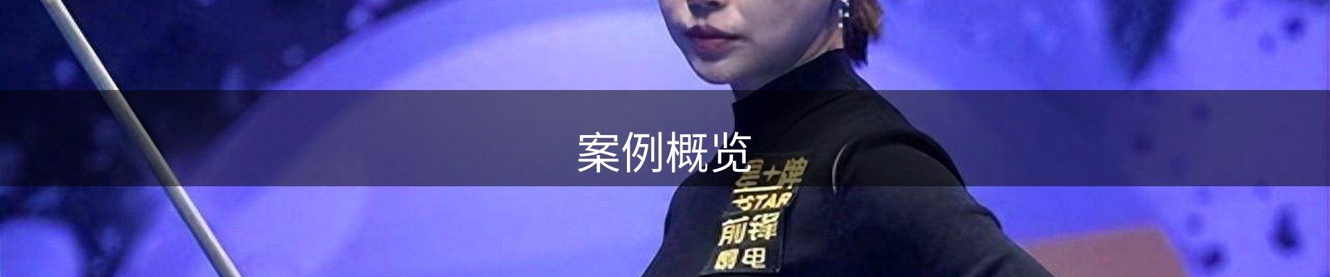 案例概览